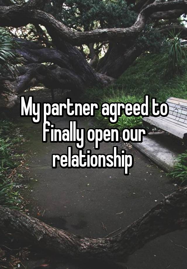 My partner agreed to finally open our relationship 