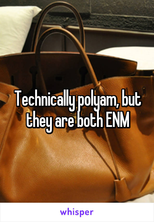 Technically polyam, but they are both ENM