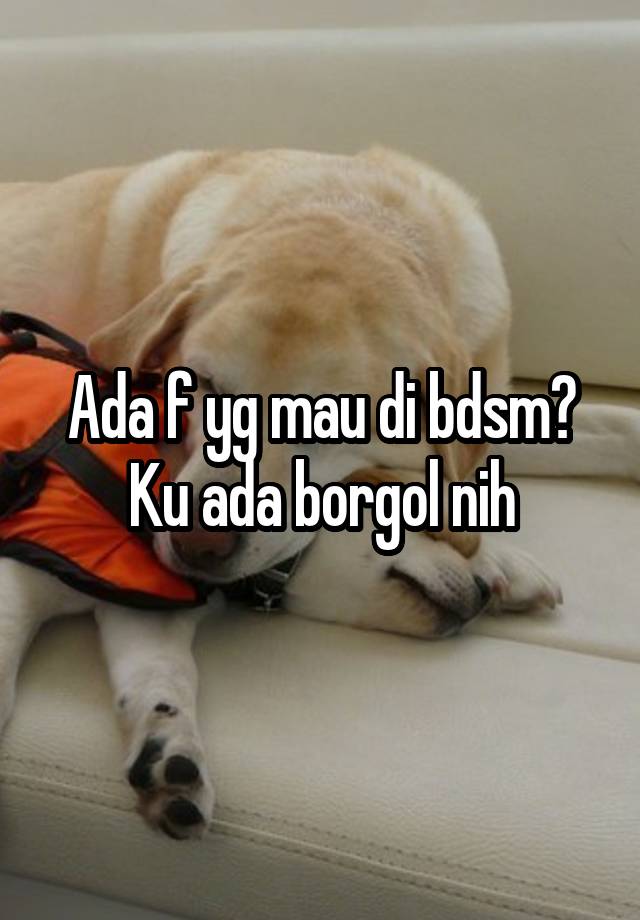 Ada f yg mau di bdsm? Ku ada borgol nih