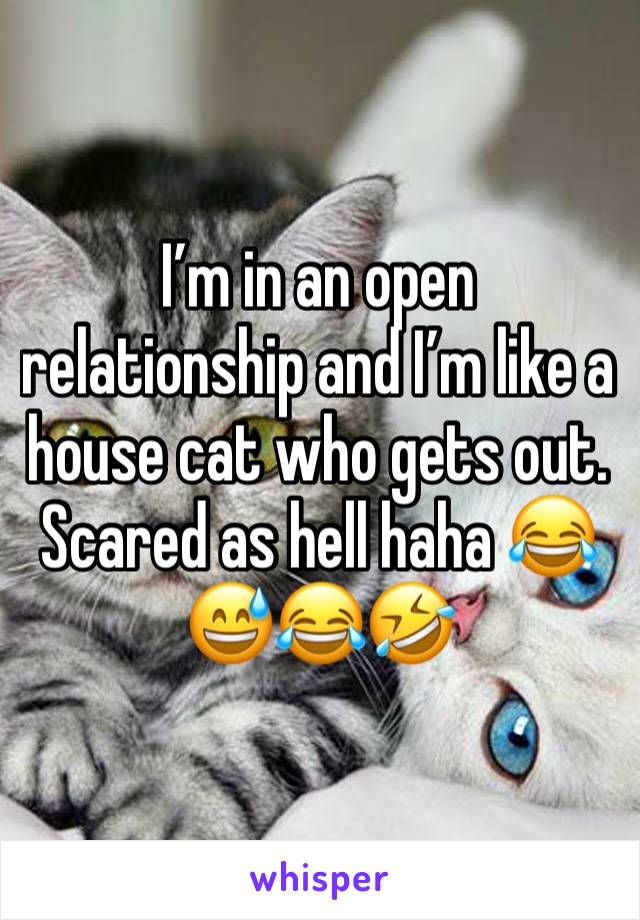 I’m in an open relationship and I’m like a house cat who gets out. Scared as hell haha 😂 😅😂🤣