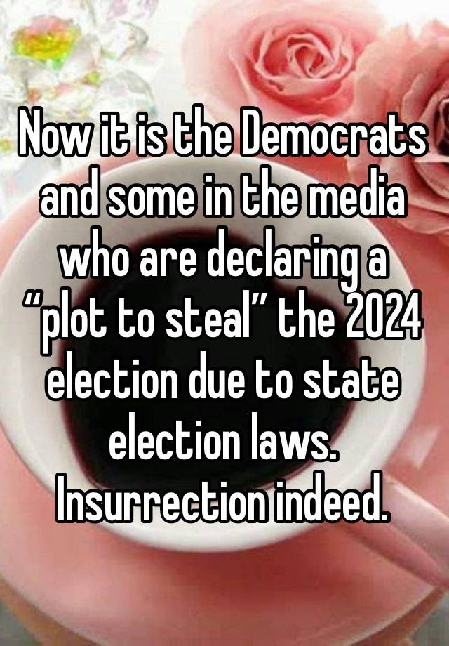 Now it is the Democrats and some in the media who are declaring a “plot to steal” the 2024 election due to state election laws. Insurrection indeed.