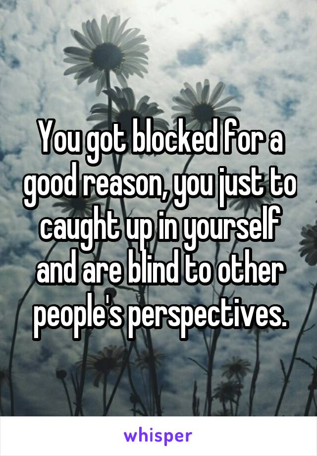 You got blocked for a good reason, you just to caught up in yourself and are blind to other people's perspectives.