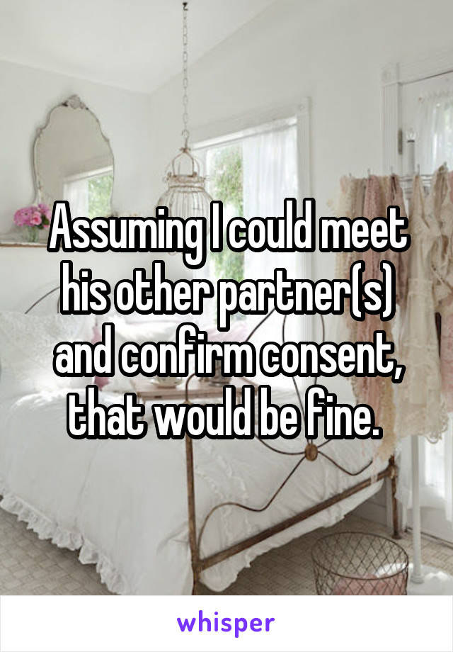 Assuming I could meet his other partner(s) and confirm consent, that would be fine. 