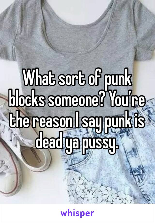 What sort of punk blocks someone? You’re the reason I say punk is dead ya pussy. 