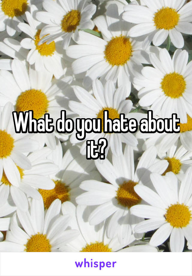 What do you hate about it?