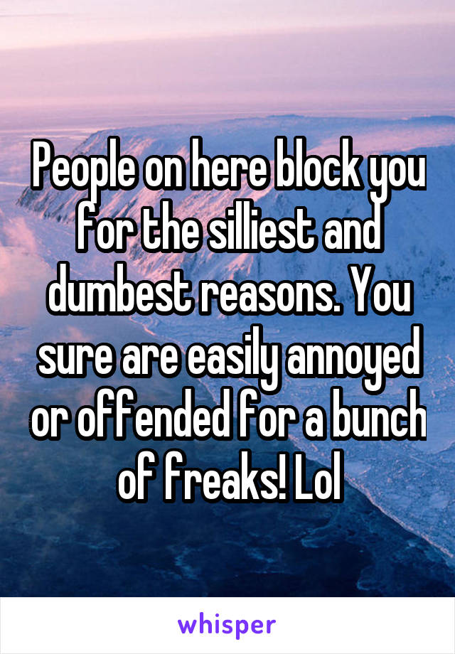 People on here block you for the silliest and dumbest reasons. You sure are easily annoyed or offended for a bunch of freaks! Lol