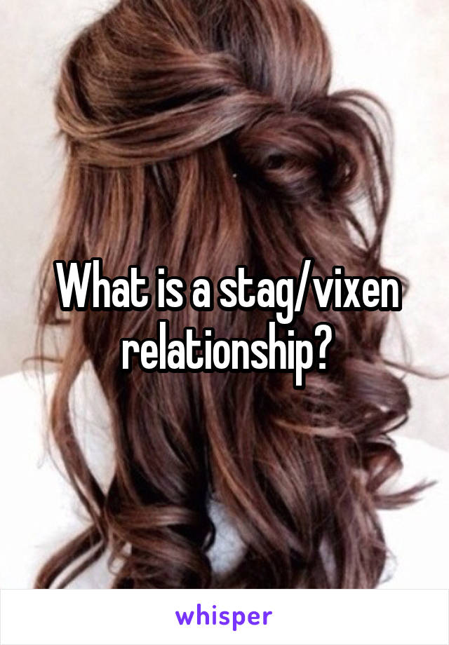 What is a stag/vixen relationship?