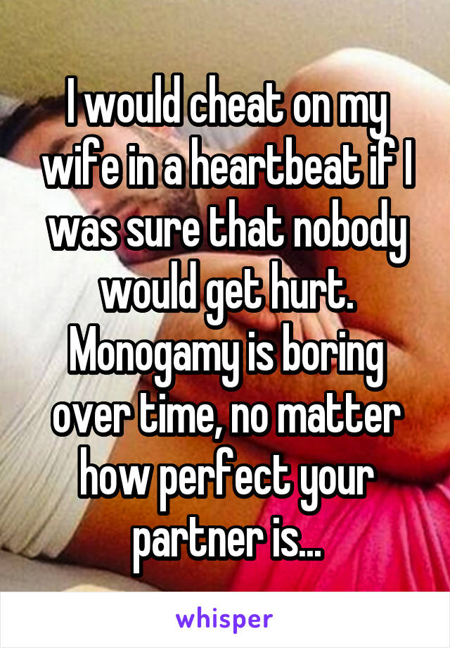 I would cheat on my wife in a heartbeat if I was sure that nobody would get hurt. Monogamy is boring over time, no matter how perfect your partner is...