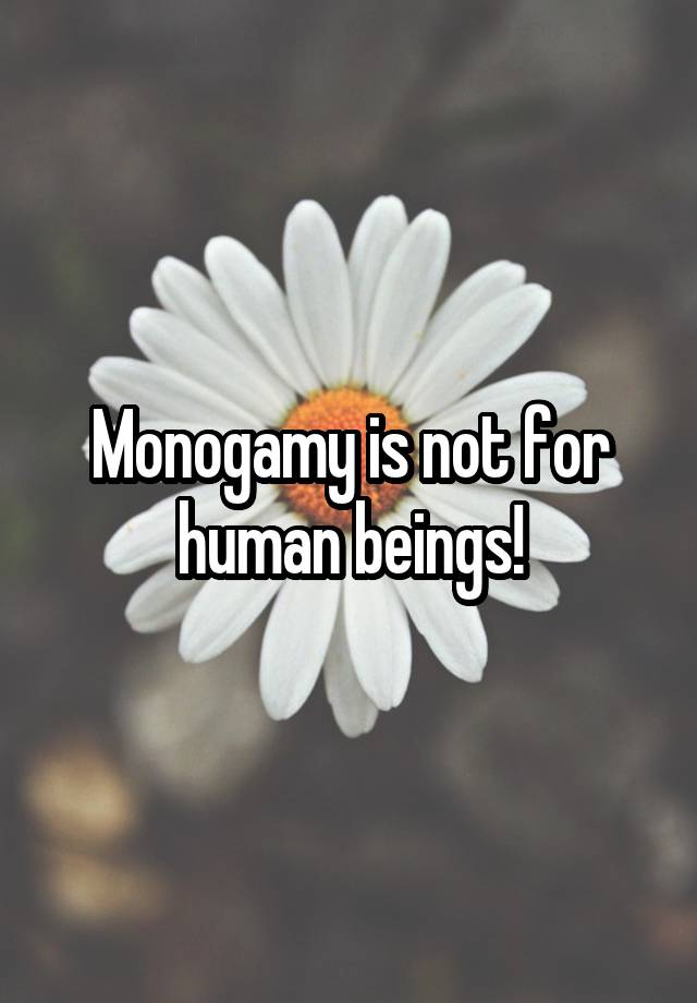 Monogamy is not for human beings!