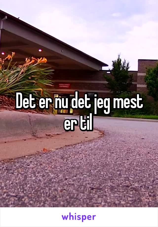 Det er nu det jeg mest er til 