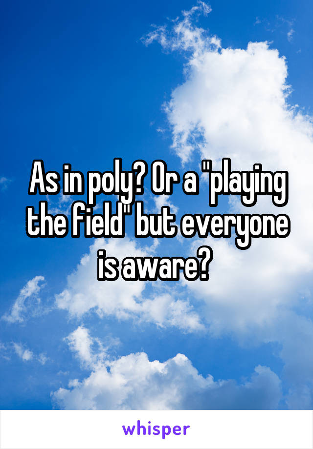 As in poly? Or a "playing the field" but everyone is aware? 