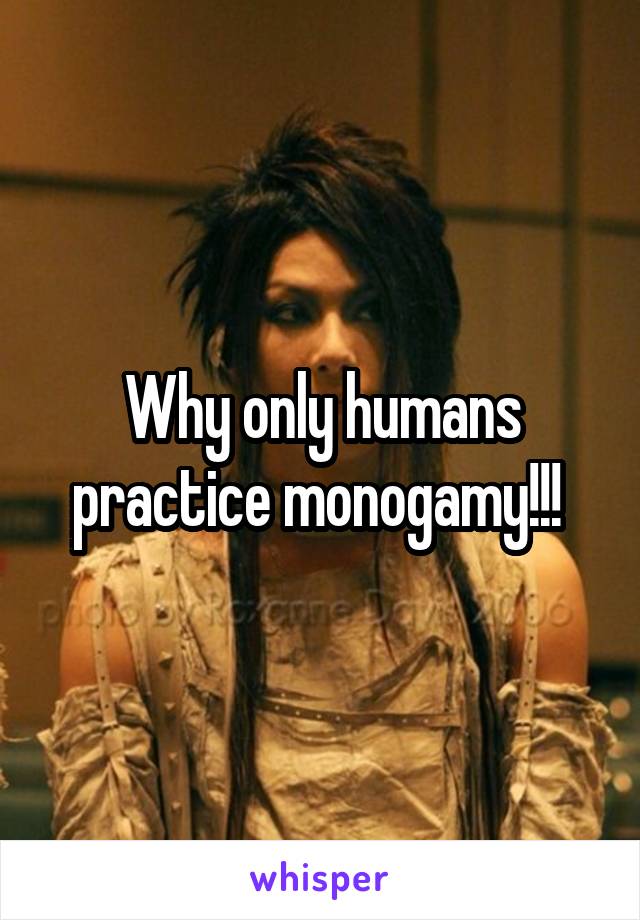 Why only humans practice monogamy!!! 