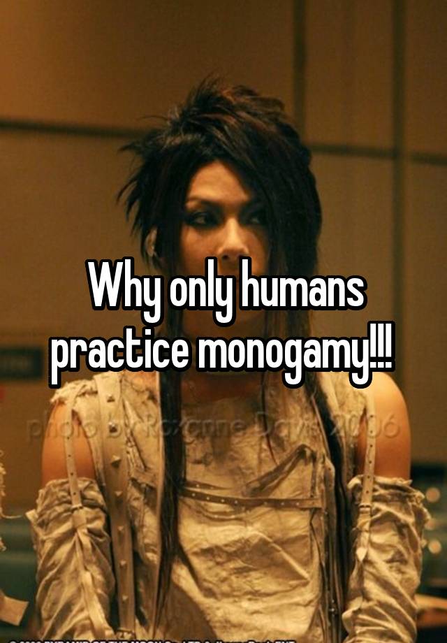 Why only humans practice monogamy!!! 