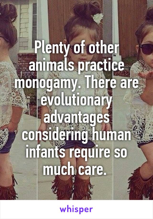 Plenty of other animals practice monogamy. There are evolutionary advantages considering human infants require so much care. 