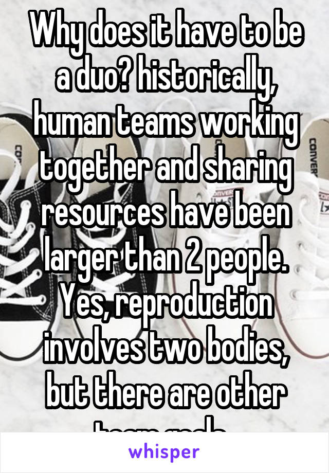 Why does it have to be a duo? historically, human teams working together and sharing resources have been larger than 2 people. Yes, reproduction involves two bodies, but there are other team goals. 