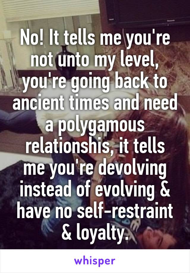 No! It tells me you're not unto my level, you're going back to ancient times and need a polygamous relationshis, it tells me you're devolving instead of evolving & have no self-restraint & loyalty.