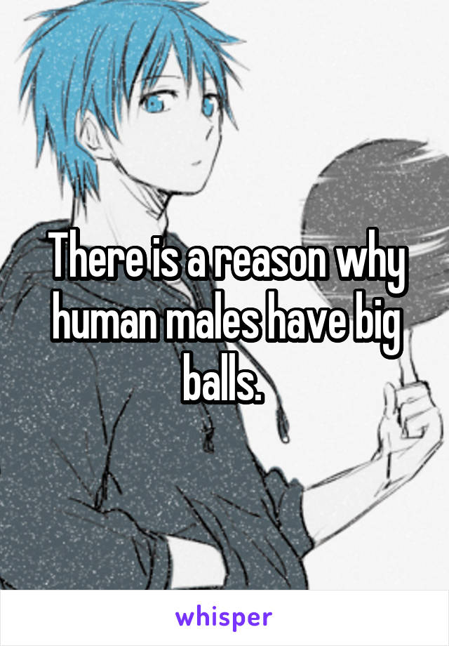 There is a reason why human males have big balls. 