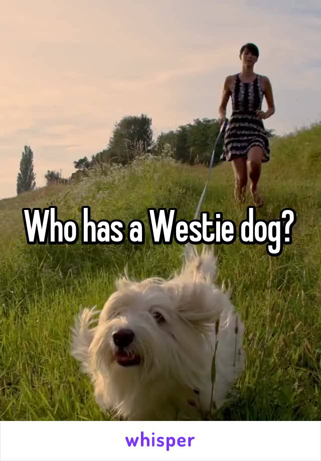 Who has a Westie dog? 