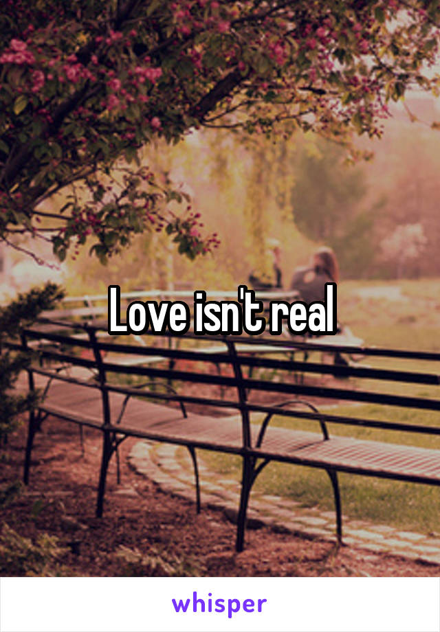 Love isn't real