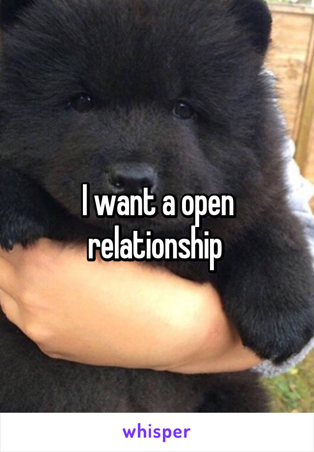 I want a open relationship 