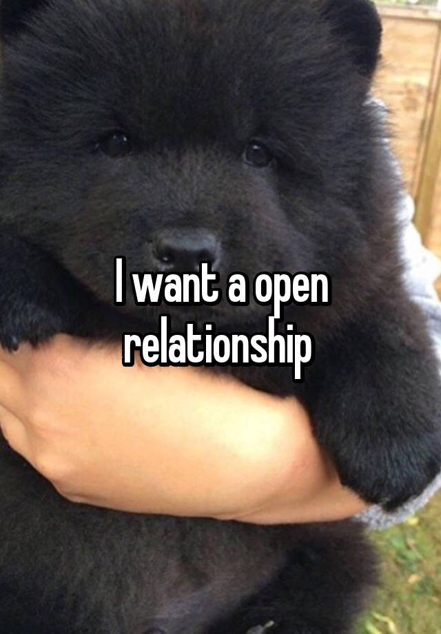 I want a open relationship 