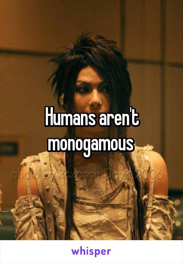 Humans aren't monogamous 