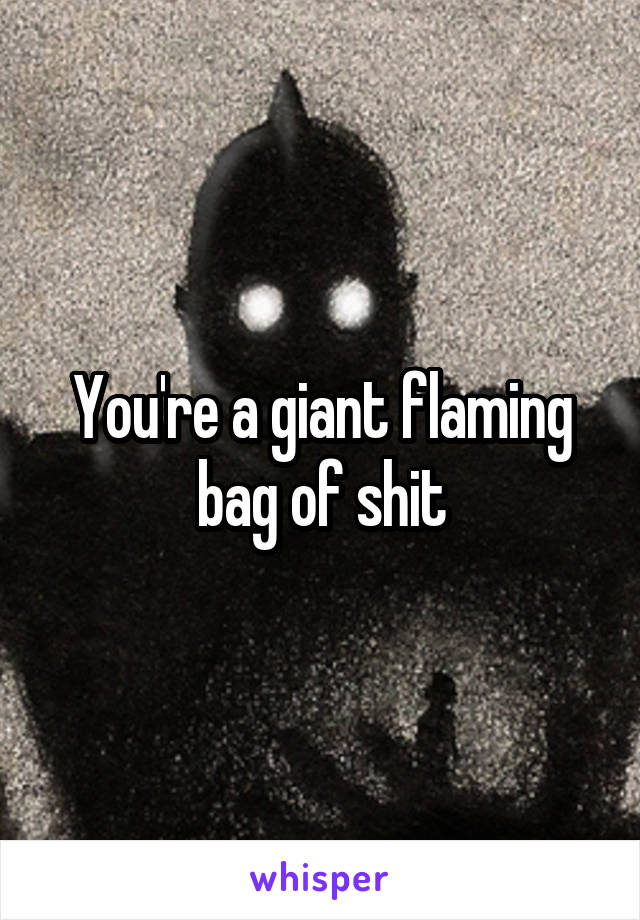 You're a giant flaming bag of shit