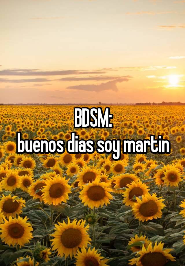 BDSM:
buenos dias soy martin