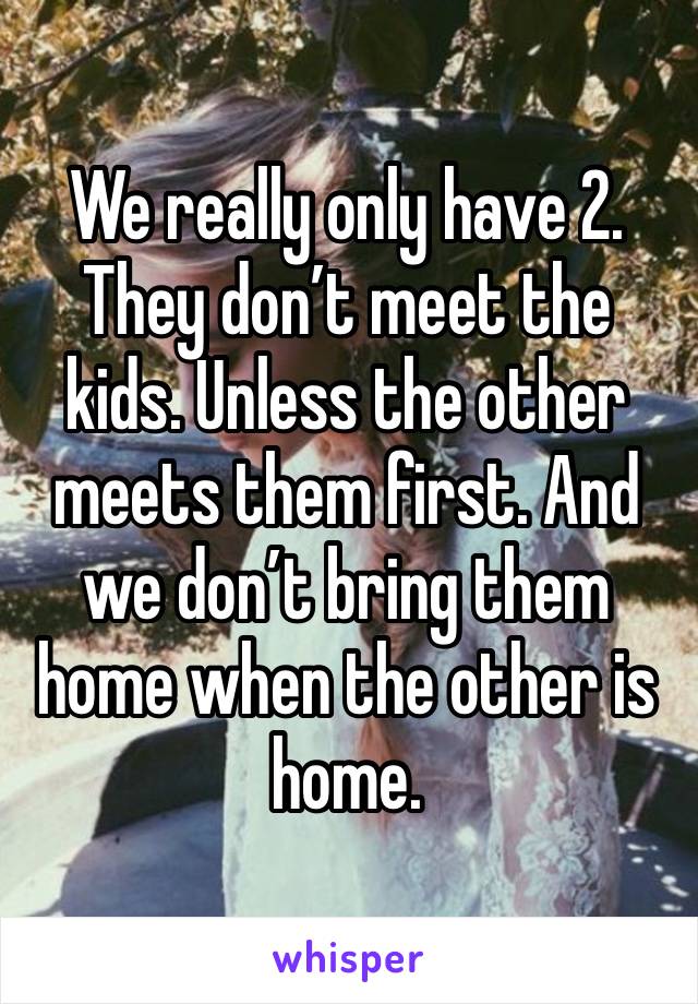 We really only have 2. They don’t meet the kids. Unless the other meets them first. And we don’t bring them home when the other is home.