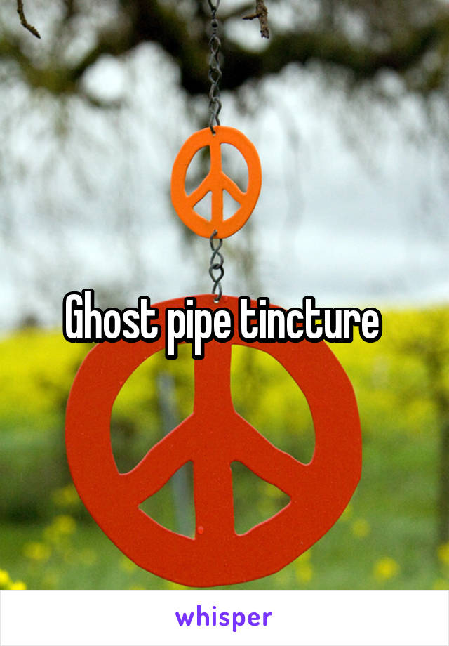 Ghost pipe tincture 