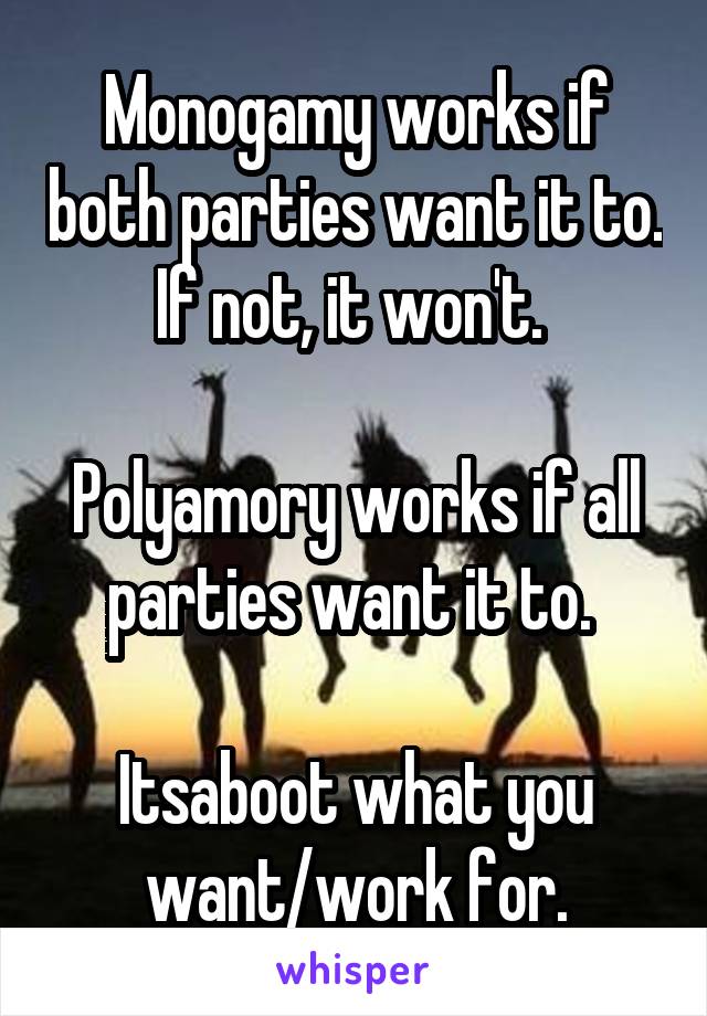 Monogamy works if both parties want it to. If not, it won't. 

Polyamory works if all parties want it to. 

Itsaboot what you want/work for.