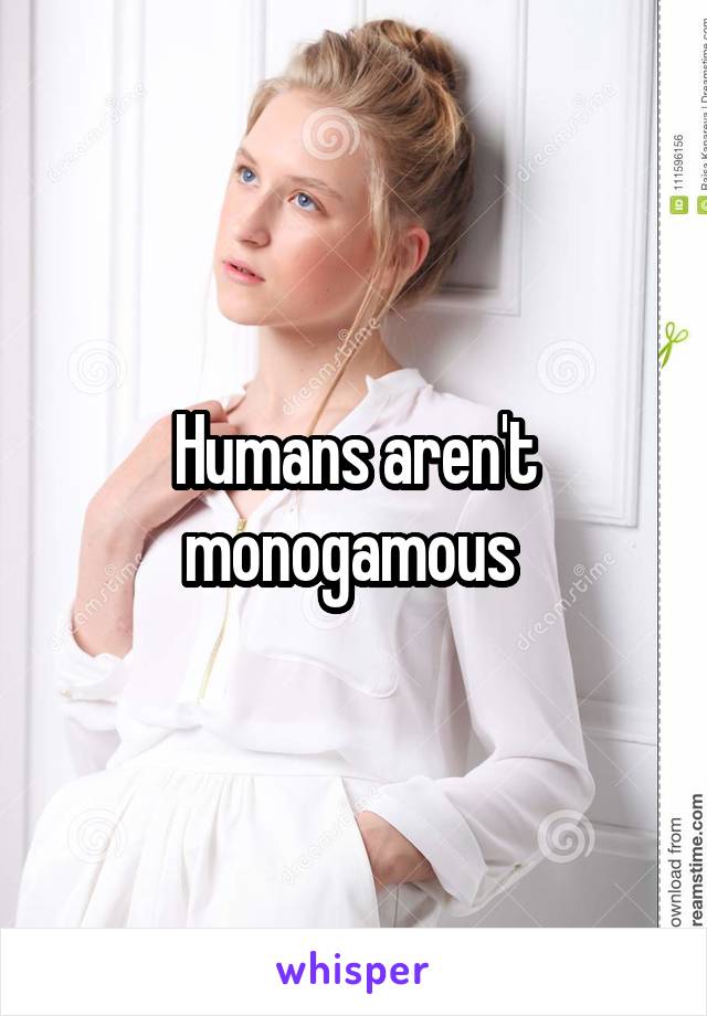 Humans aren't monogamous 