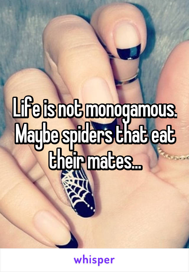 Life is not monogamous. Maybe spiders that eat their mates...