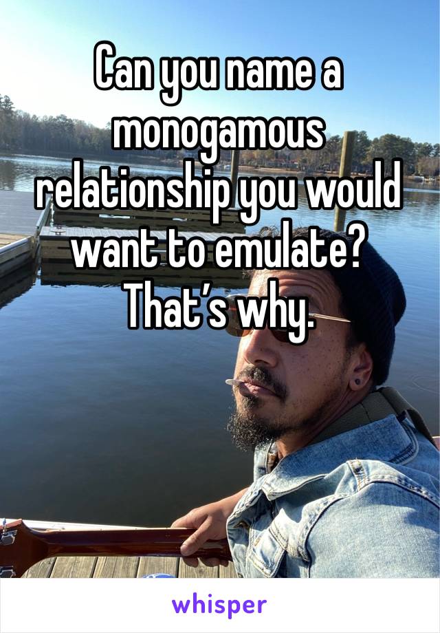 Can you name a monogamous relationship you would want to emulate?
That’s why.