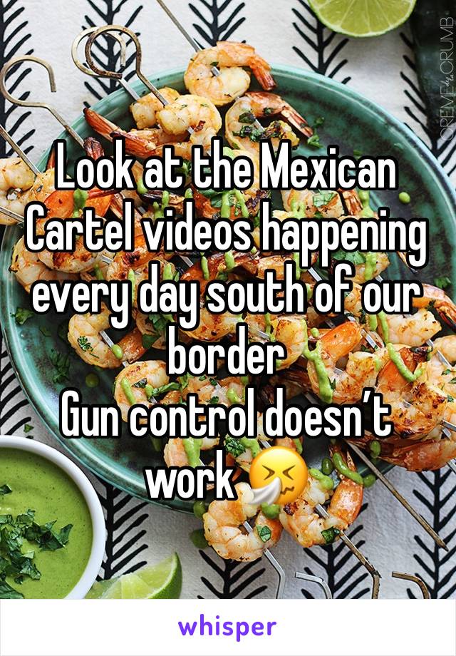 Look at the Mexican Cartel videos happening every day south of our border
Gun control doesn’t work 🤧 