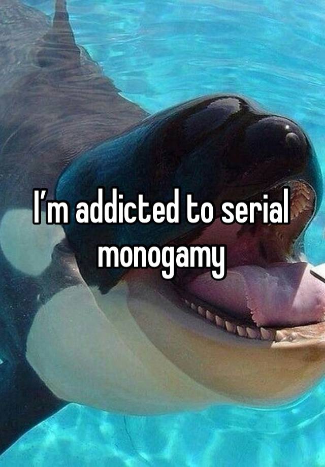 I’m addicted to serial monogamy