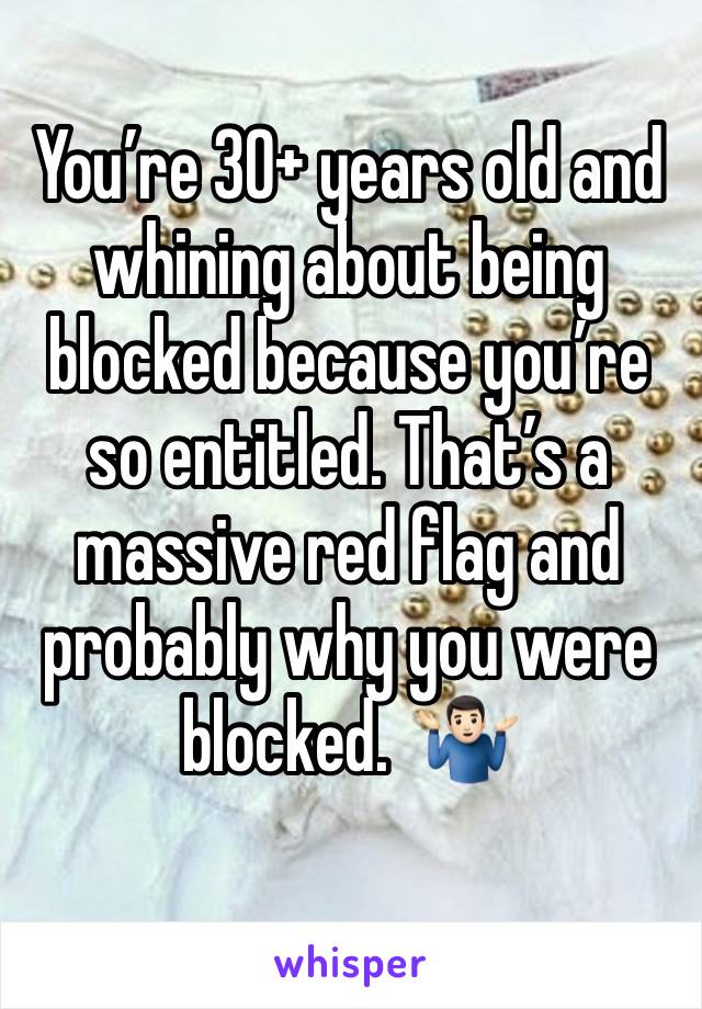 You’re 30+ years old and whining about being blocked because you’re so entitled. That’s a massive red flag and probably why you were blocked.  🤷🏻‍♂️