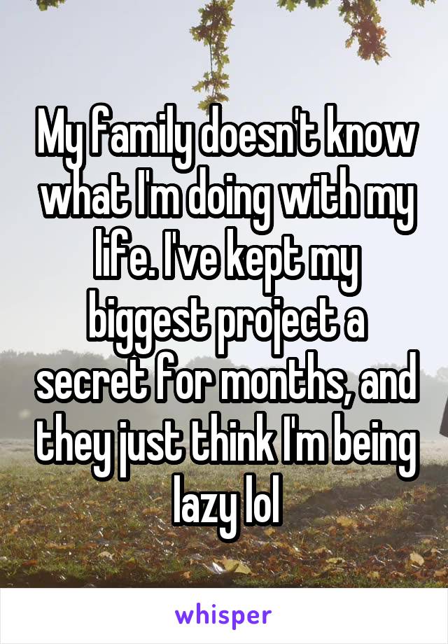 My family doesn't know what I'm doing with my life. I've kept my biggest project a secret for months, and they just think I'm being lazy lol