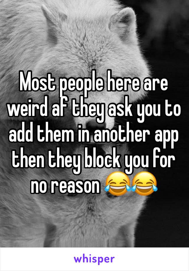 Most people here are weird af they ask you to add them in another app then they block you for no reason 😂😂