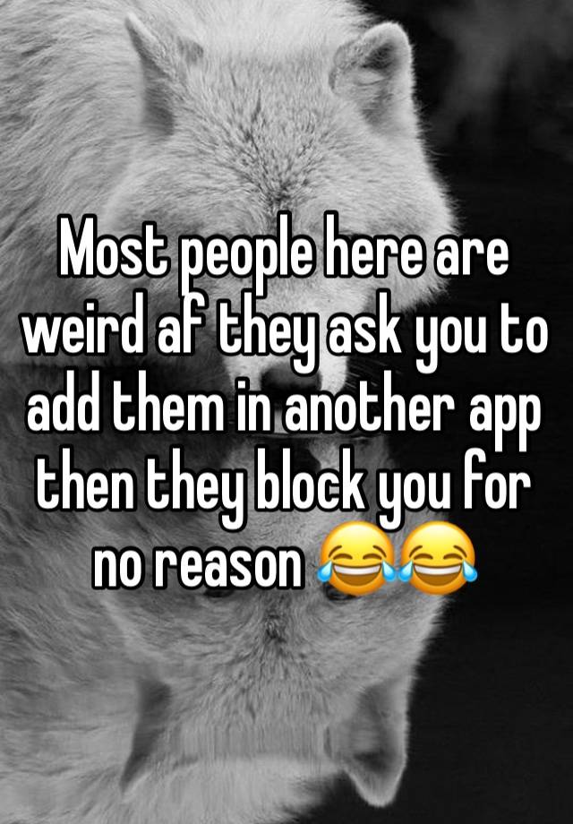 Most people here are weird af they ask you to add them in another app then they block you for no reason 😂😂