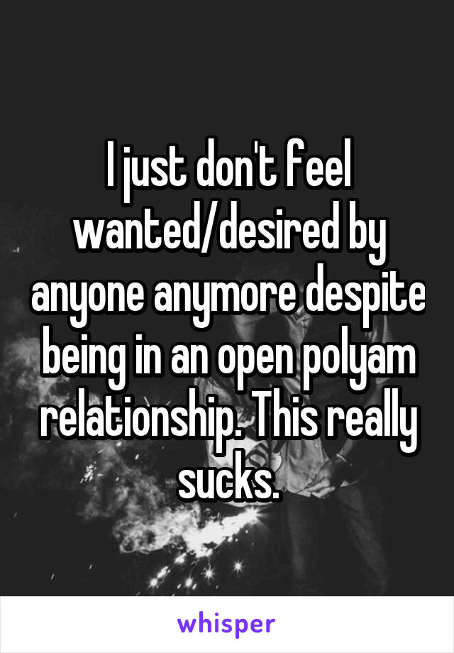 I just don't feel wanted/desired by anyone anymore despite being in an open polyam relationship. This really sucks.