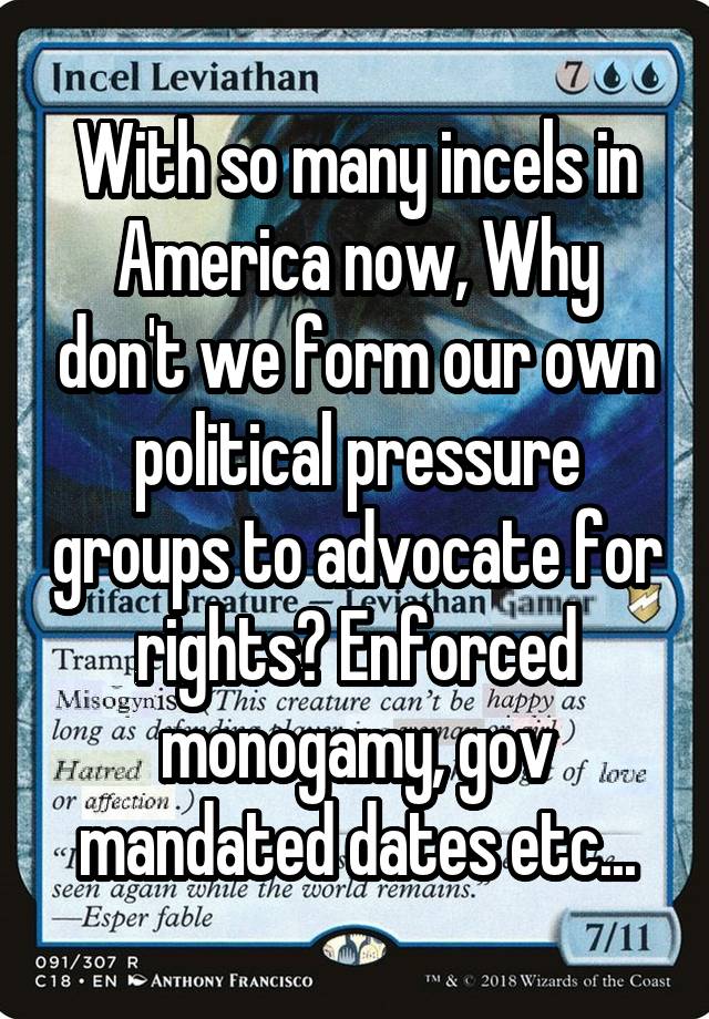 With so many incels in America now, Why don't we form our own political pressure groups to advocate for rights? Enforced monogamy, gov mandated dates etc...