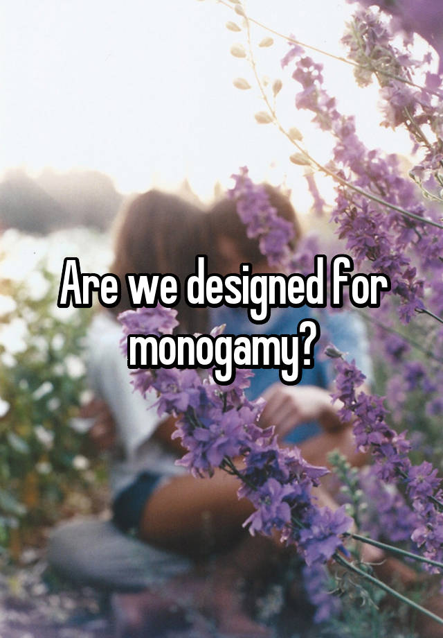 Are we designed for monogamy?