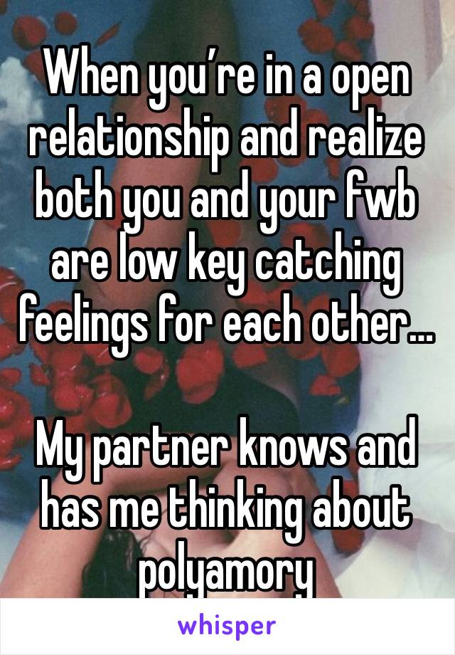 When you’re in a open relationship and realize both you and your fwb are low key catching feelings for each other…

My partner knows and has me thinking about polyamory