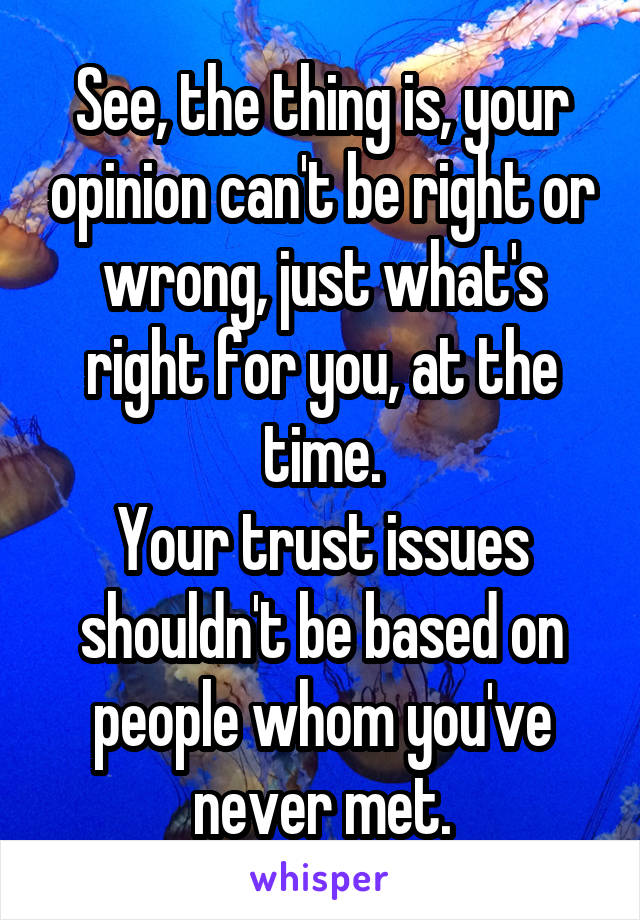 See, the thing is, your opinion can't be right or wrong, just what's right for you, at the time.
Your trust issues shouldn't be based on people whom you've never met.