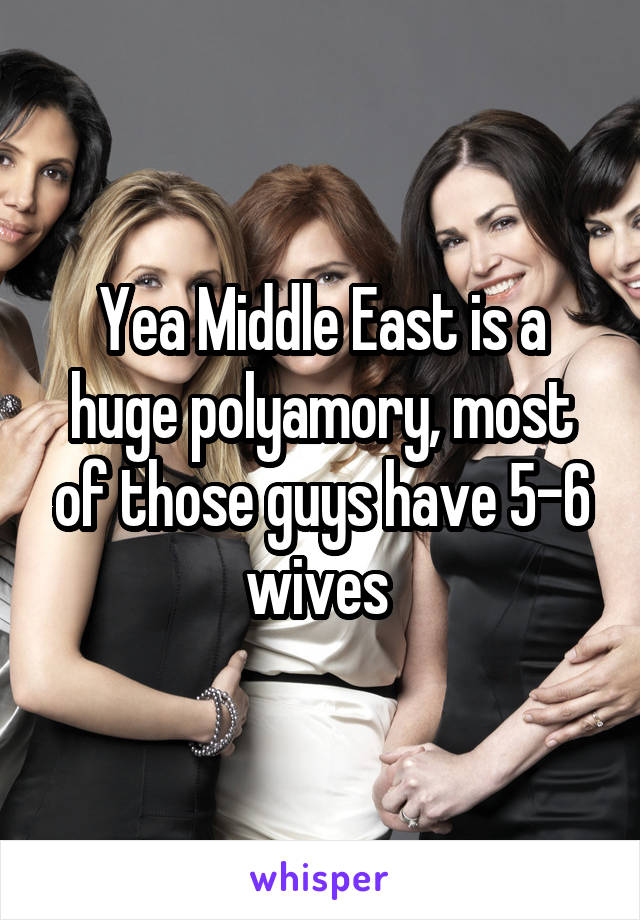 Yea Middle East is a huge polyamory, most of those guys have 5-6 wives 