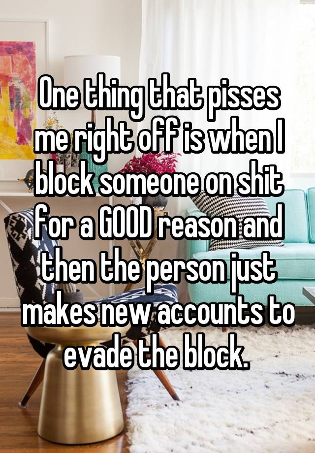 One thing that pisses me right off is when I block someone on shit for a GOOD reason and then the person just makes new accounts to evade the block. 