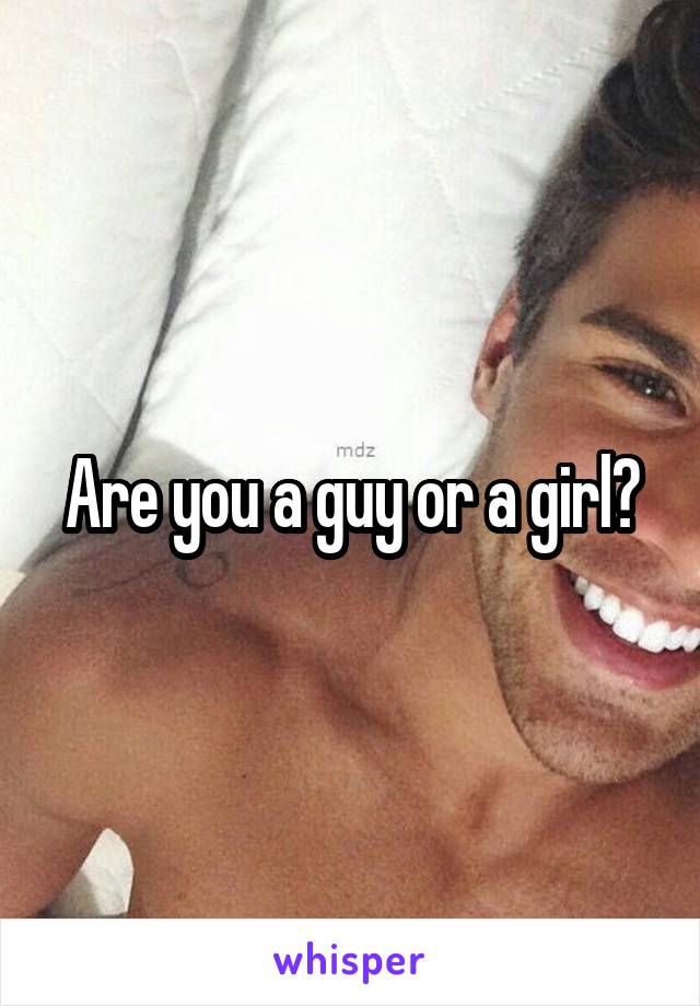 Are you a guy or a girl?