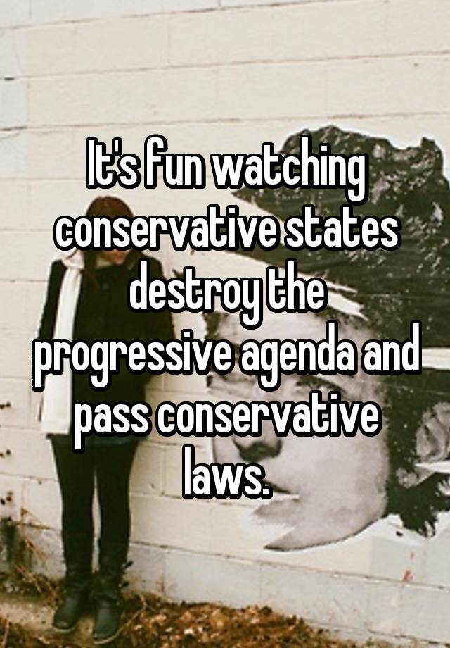 It's fun watching conservative states destroy the progressive agenda and pass conservative laws.