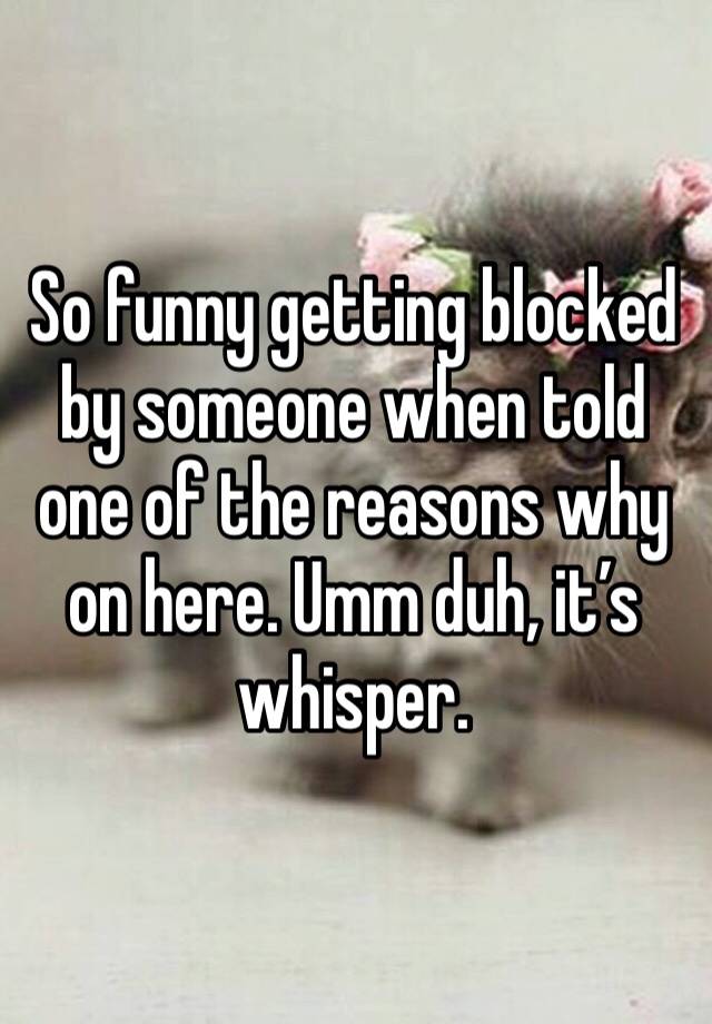 So funny getting blocked by someone when told one of the reasons why on here. Umm duh, it’s whisper.